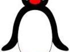pingu